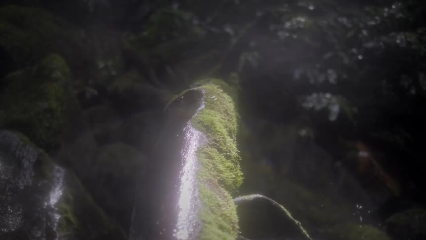 Ethereal mist rises as a gentle stream of water cascades over a vibrant mossy rock in a dark forest