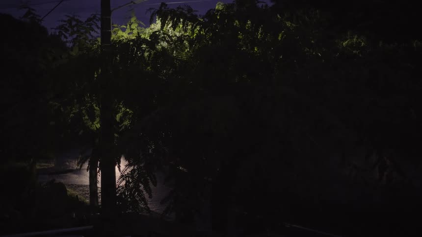 A car drives down a dark road at night as seen through trees blowing in the wind under a street light