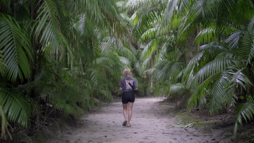 A woman walks in slow motion down a sandy path away from the camera, enveloped by a lush tropical palm tree forest