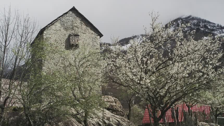 An old stone house stands on a hillside surrounded by blooming white cherry blossom trees with a snow-capped mountain in the background