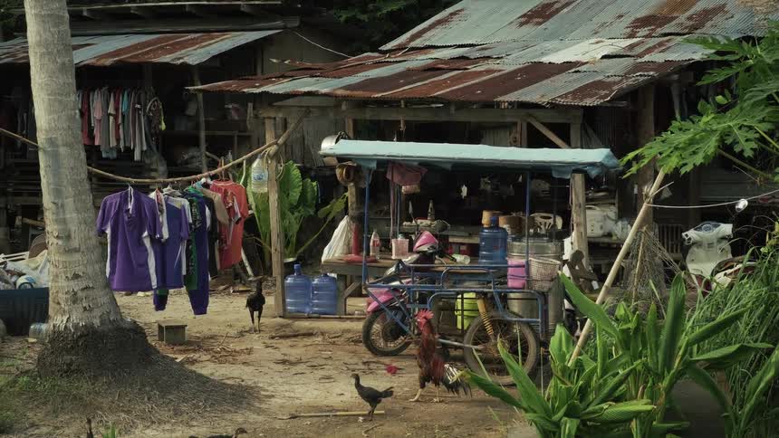 A scene of daily life in a poor rural village in Thailand with chickens and a dog roaming near rustic shacks