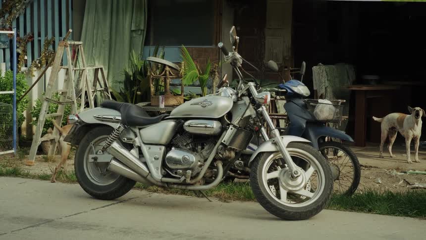 A silver cruiser motorcycle and a scooter are parked on a roadside in a rural village as two stray dogs wander nearby
