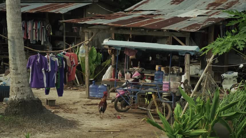 A slow pan across a cluttered yard in a rural tropical village with chickens, motorbikes, and laundry hanging to dry