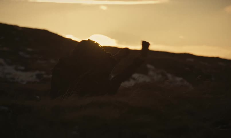 A silhouetted couple playfully wrestles and gives piggyback rides while hiking on a snowy hill, eventually falling and resting together in the golden sunset light