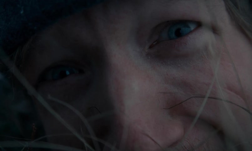A close-up of a man's menacing blue eyes peering through blades of grass at night