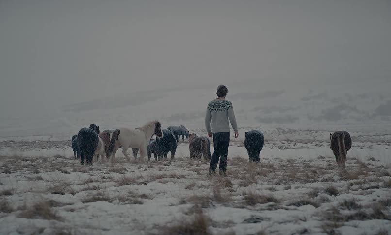 A man walks alongside a herd of Icelandic horses as snow falls gently over the vast, wintry landscape