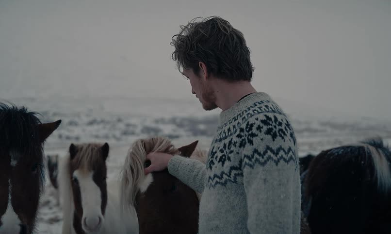 Slow motion shot of a man in a wool sweater tenderly petting a horse in a snowy, windswept field