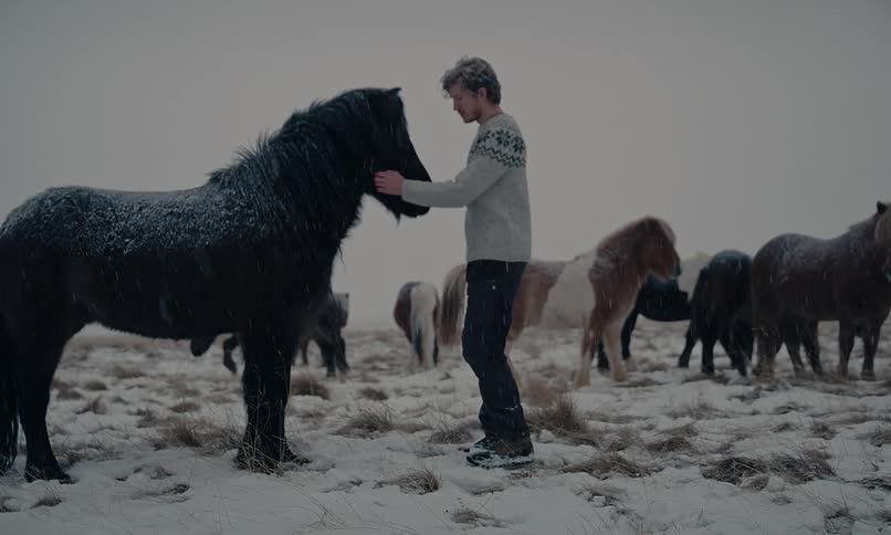 A young man gently pets a beautiful black Icelandic horse in a snowy field as snow falls in slow motion
