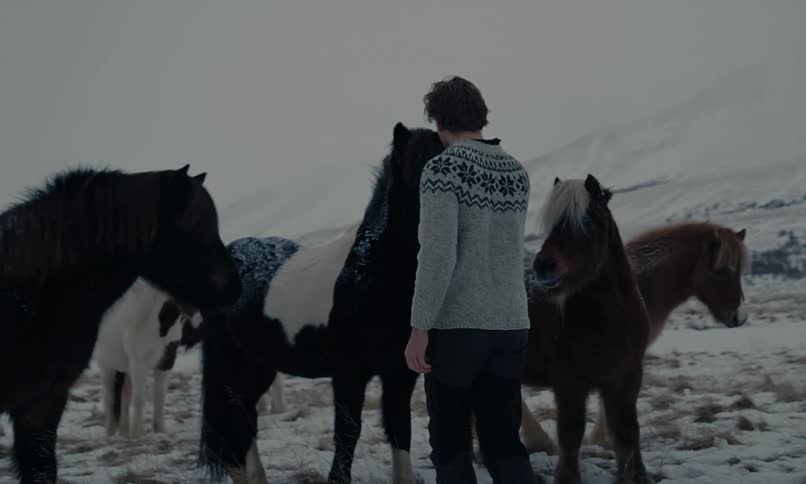 A man wearing a traditional Icelandic sweater gently pets a herd of horses in a serene, snowy mountain landscape