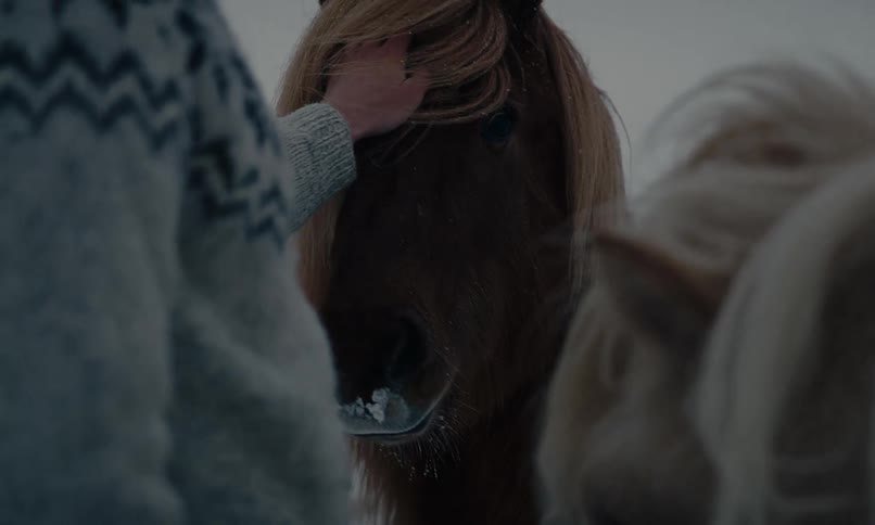 A man wearing a traditional Icelandic sweater shares a quiet moment petting a horse in a snowy field