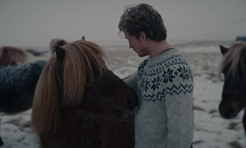 A man in a traditional Nordic sweater shares a tender moment with a beautiful Icelandic horse in a snowy field as snow falls gently