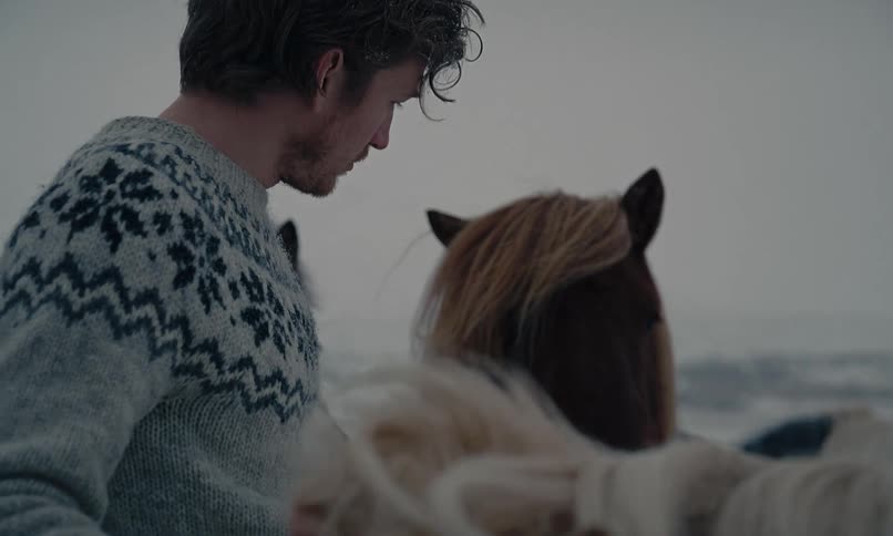 A man in a traditional Icelandic sweater tenderly pets his horses in a stark, snowy winter landscape