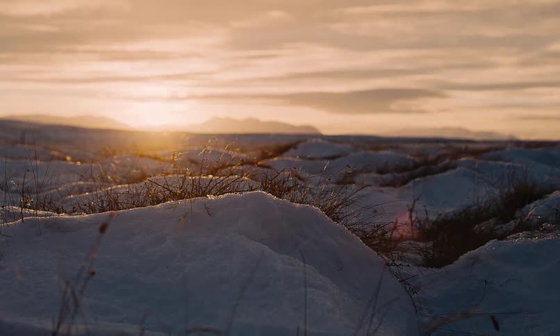 A close-up shot of a serene, snow-covered landscape with dry grass peeking through, illuminated by the warm glow of a setting sun