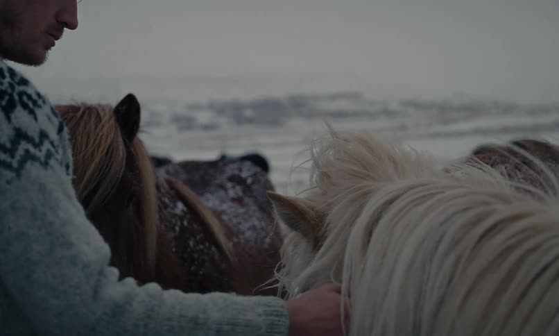 A windswept man in a traditional sweater shares a tender moment with his herd of Icelandic horses in a snowy winter landscape