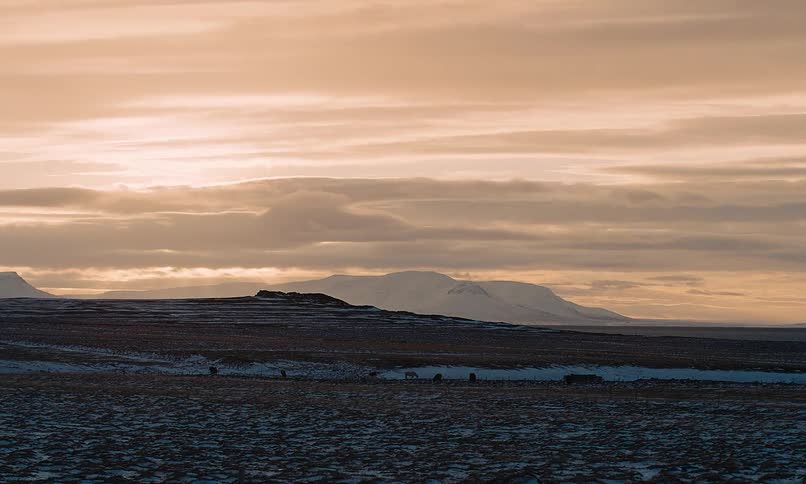 A distant herd of reindeer stands in a vast, desolate winter landscape with snow-covered mountains under a warm, cloudy sky
