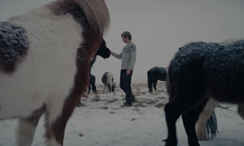 A man gently interacts with a herd of Icelandic horses in a vast, snowy landscape as snow falls