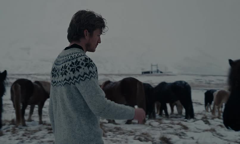 A man in a traditional Icelandic sweater gently feeds and pets a beautiful black horse in a vast, snowy landscape surrounded by its herd