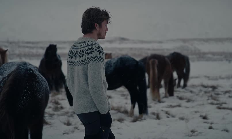 A man in a winter sweater stands thoughtfully among a herd of grazing Icelandic horses as snow falls in a desolate landscape