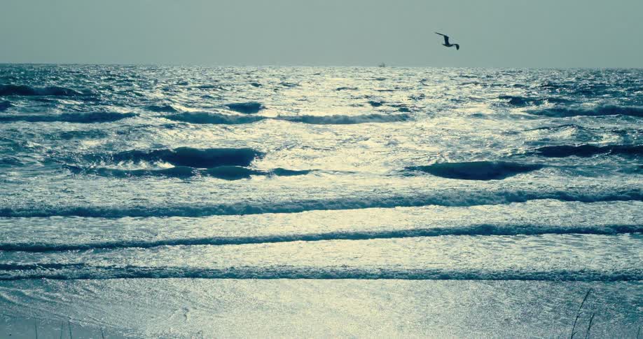 A lone seagull soars in slow motion over a vast, moody ocean with rolling waves