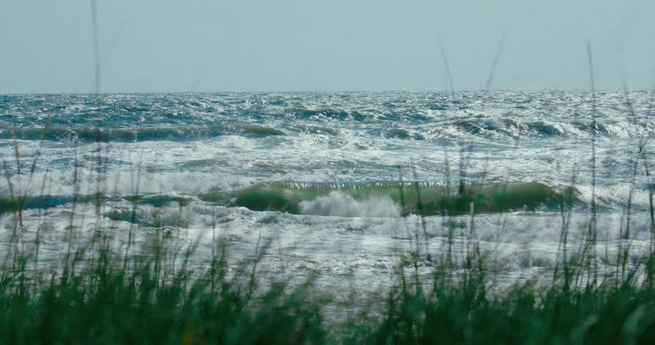 Rough ocean waves crash in slow motion as seen through blurred blades of green grass on the shore
