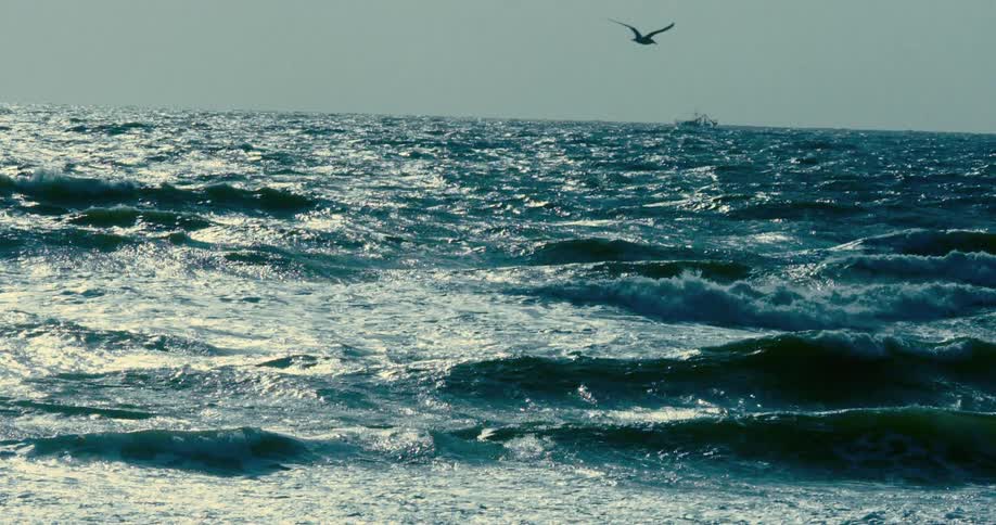 A seagull flies in slow motion over the vast, choppy ocean waters as a distant ship sails on the horizon