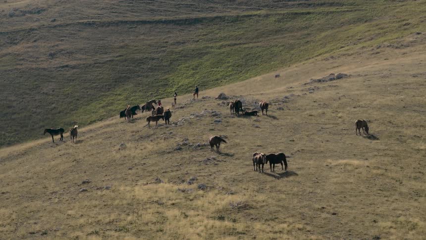 A herd of horses grazes on a vast, sunlit hillside while shepherds walk among them