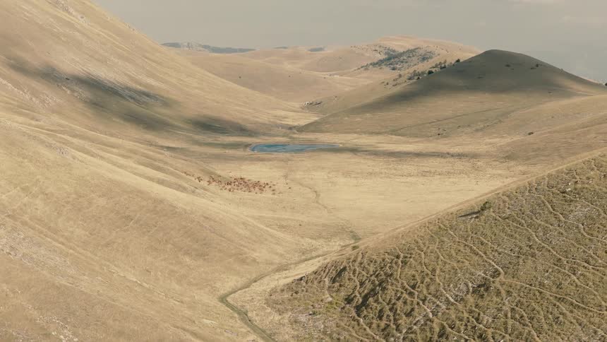 An aerial view slowly advances over a vast, arid mountain valley towards a herd of cows gathered by a remote pond