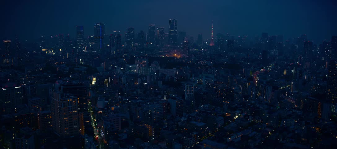 Wide shot of the expansive Tokyo cityscape illuminated by millions of lights under a dark night sky