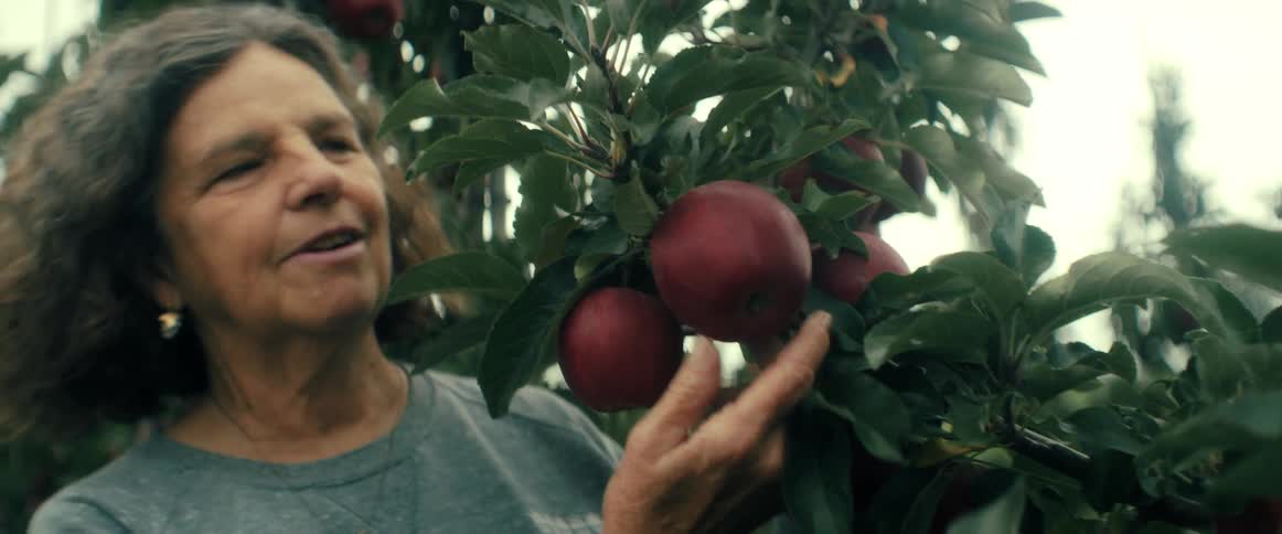 A smiling older woman gently touches a cluster of ripe red apples hanging from a tree in an orchard