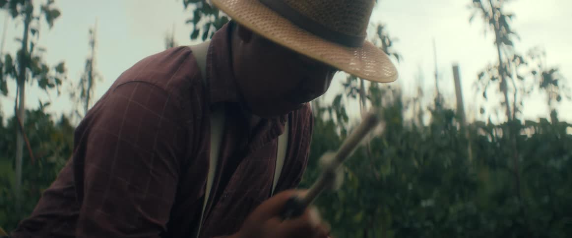 A farmer in a straw hat gently unloads a picking bag full of freshly harvested red apples into a large wooden bin