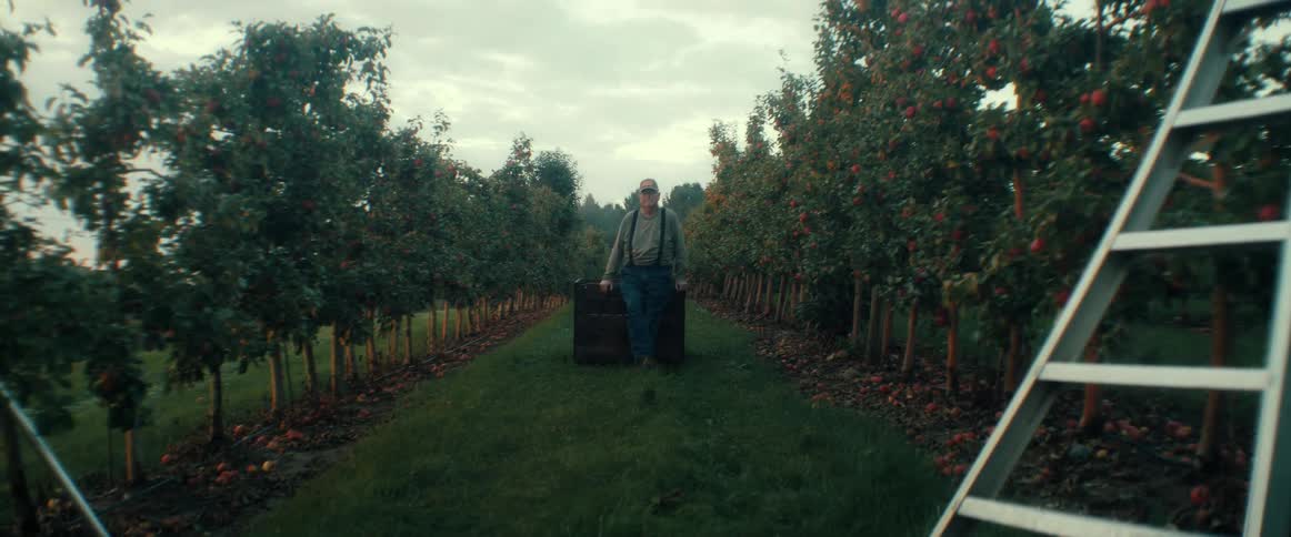 Portrait of a solemn elderly farmer sitting on a wooden apple bin in the middle of an orchard