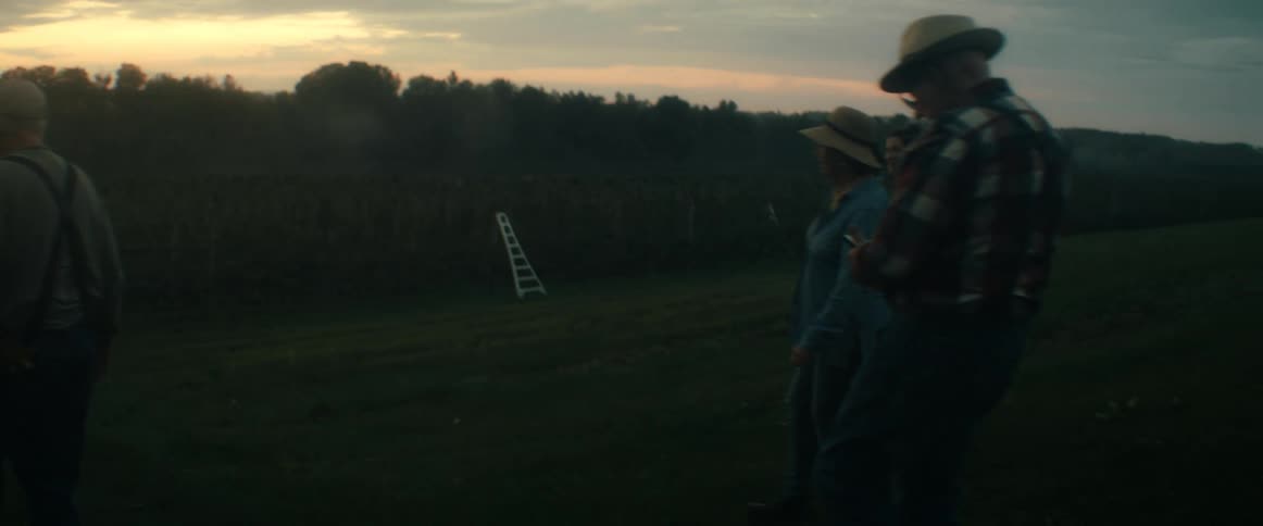 A group of farmers stroll through their fields in slow motion at dusk, inspecting their crops