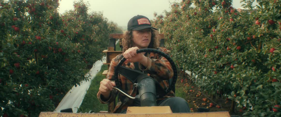 A young farmer with long hair drives a tractor through a misty apple orchard during the fall harvest