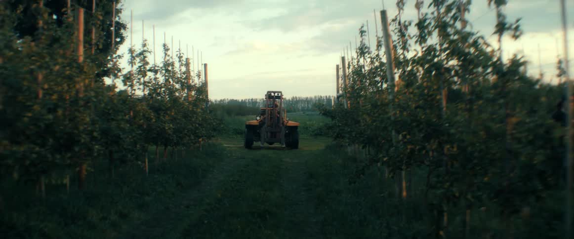 A handheld shot follows a yellow forklift driving away down a grassy path between rows of young orchard trees at sunset