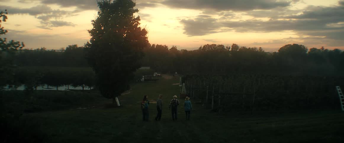 A group of farmers walks away from the camera through a vast orchard during a beautiful sunset, as the shot tilts up to the cloudy sky