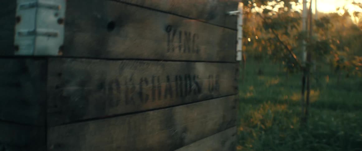 A close-up handheld shot of a wooden orchard crate with a beautiful golden hour lens flare