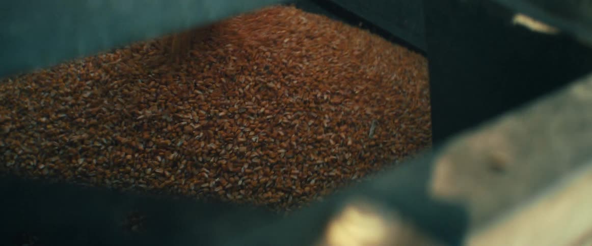 Close-up of wheat grains moving rapidly through an industrial processing machine at a factory