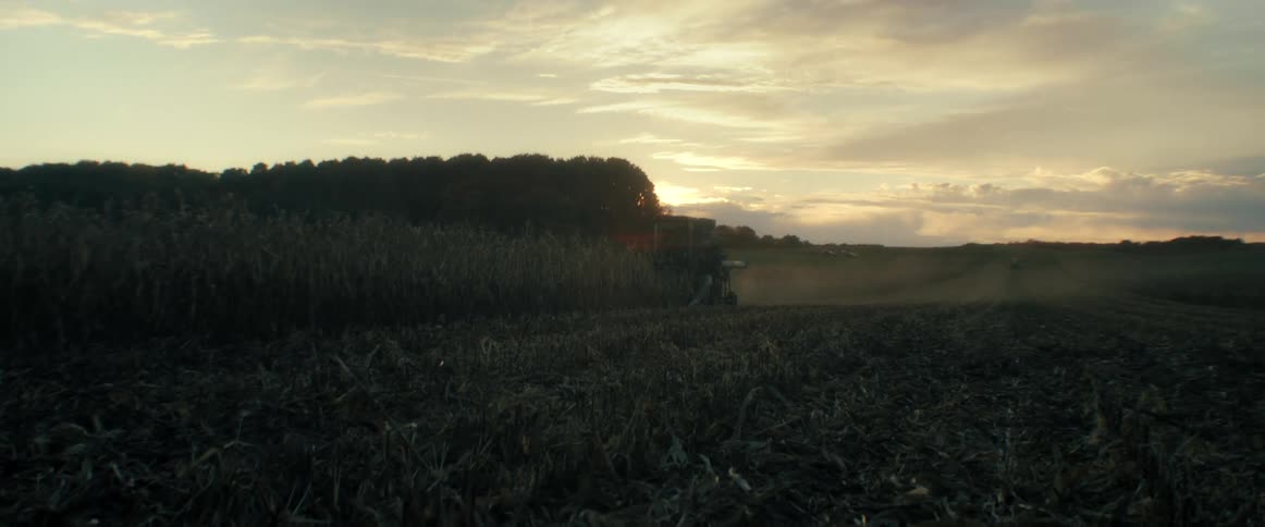 A combine harvester works late into the evening, harvesting a vast cornfield under a beautiful golden sunset