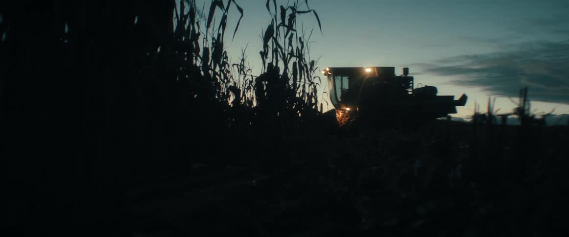 A combine harvester with its bright headlights on slowly moves through a dark cornfield during the early morning twilight