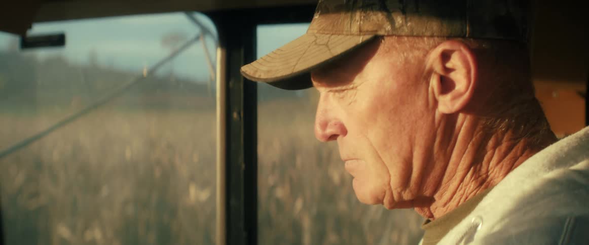 A close-up of a focused older farmer driving a combine harvester through a cornfield during a golden hour harvest