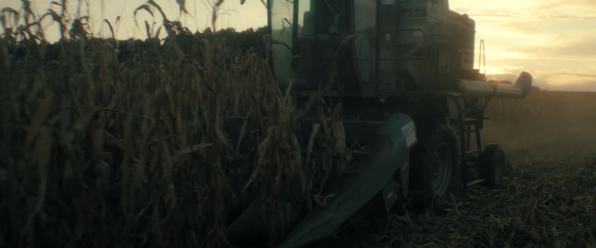 A combine harvester slowly makes its way through a vast cornfield during the golden hour of sunset