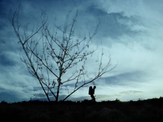 A silhouetted hiker stands on a hilltop beside a leafless tree blowing in the wind in a dreamy time-lapse effect