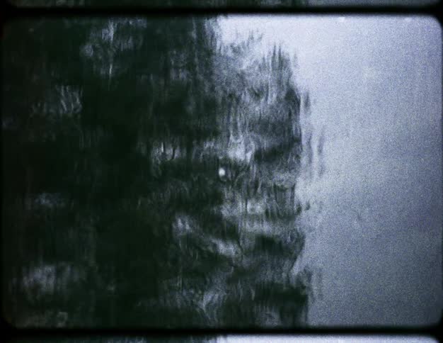 Abstract vintage film captures a dark tree seen through a rain-streaked window on a gloomy day