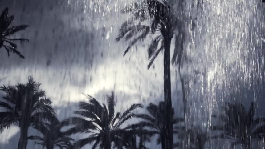 A dramatic monochrome scene shows a powerful downpour of water from a fountain with silhouetted palm trees in the background