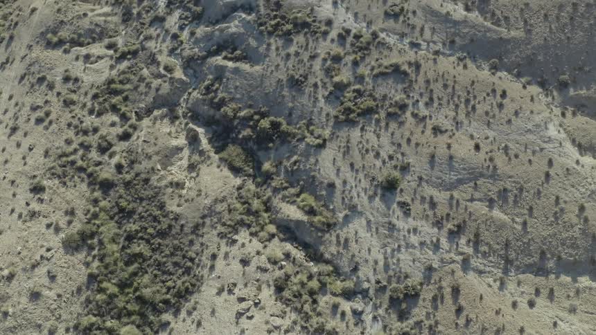 An ascending aerial top-down view of a dry, eroded desert hillside with sparse, hardy bushes