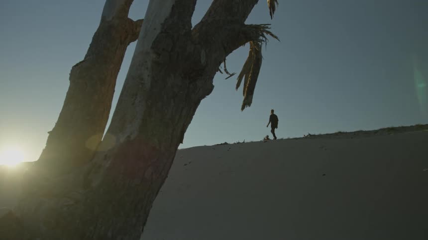 A silhouetted man walks across a vast sand dune at sunset, framed by a gnarled, weathered tree in slow motion