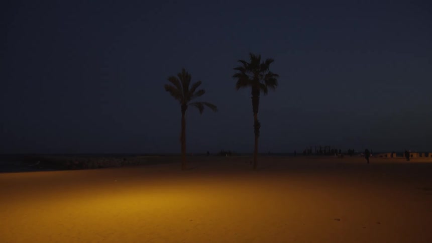 Two palm trees are silhouetted against the night sky on a sandy beach illuminated by a warm light
