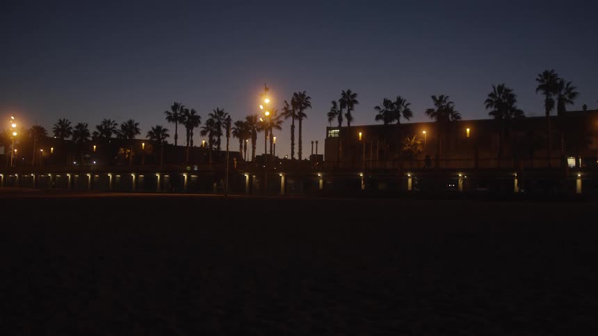 A quiet coastal scene at night shows an empty beach with a glowing boardwalk and silhouetted palm trees