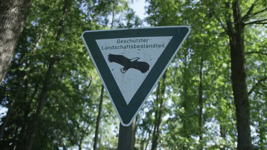 A German sign for a protected landscape area, featuring a bird of prey, stands amidst the green trees of a forest