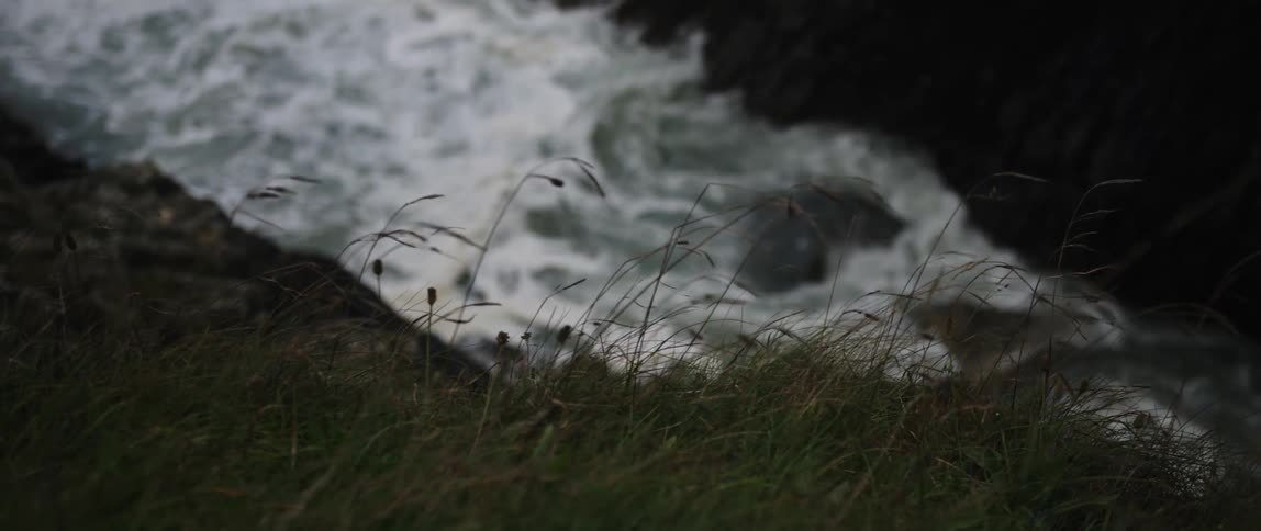 Moody close-up of tall grass blowing gently in the wind on a cliff's edge with turbulent ocean waves below